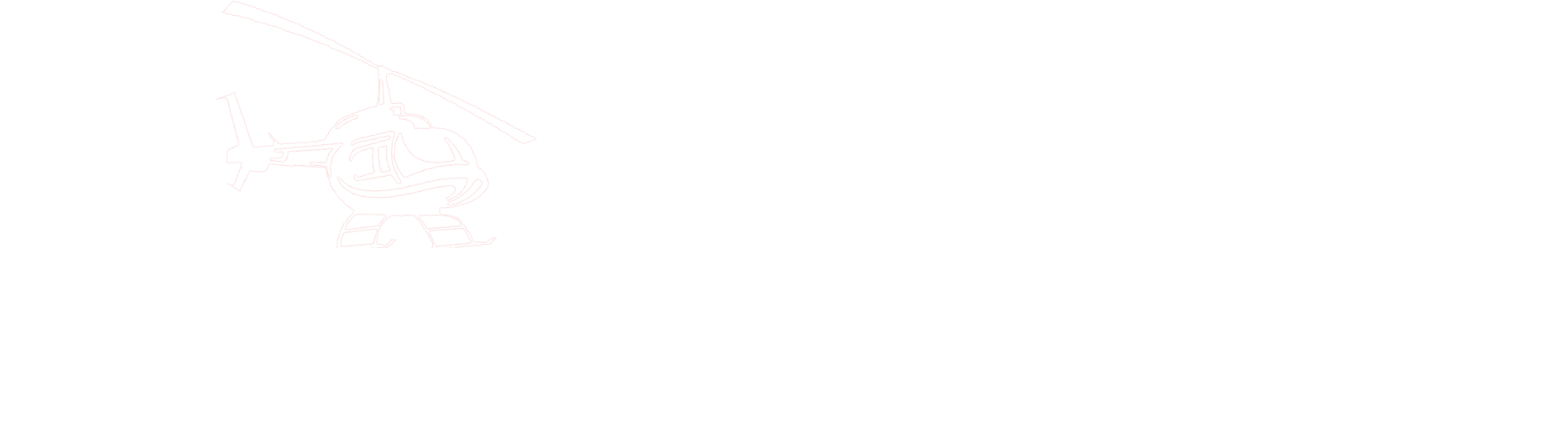 logo icon